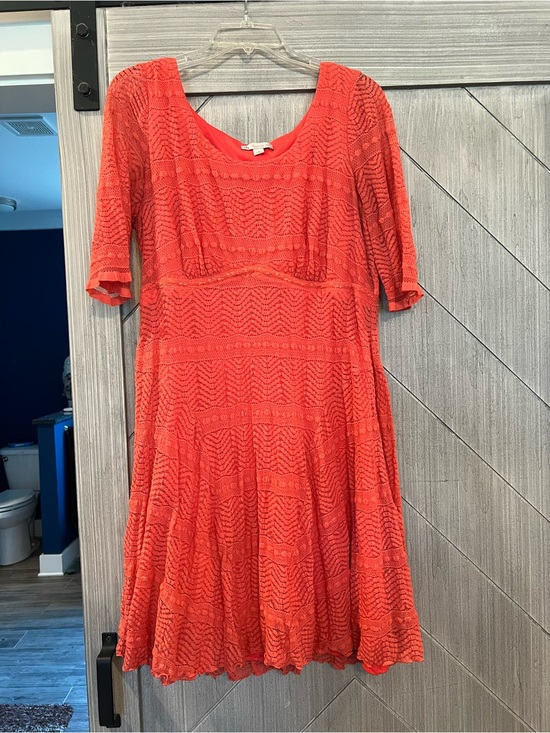 Cb Established 1962 Dresses & Skirts - Women's Orange Lace Fit & Flare Dress